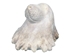 Micmac &quot;Seal Head&quot; Moose Antler Carving - 118-SH5 (10URM1)
