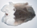 Better Rabbit Skin: Part White - 134-01NPW (Y2E)