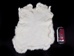Spanish Garment Rabbit Skin: Natural: Spotted Black & White - 134-03NSP1