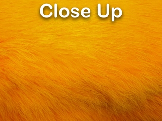Dyed Better Rabbit Skin: Fluorescent Orange 
