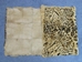 Long Hair Printed #1 Rabbit Plate: Leopard Pattern - 140-1L-LE (Y2D)