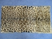 Long Hair Printed #1 Rabbit Plate: Leopard Pattern - 140-1L-LE (Y2D)