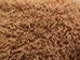 Short-Hair Tibet Lamb Skin: Tan/Brown - 169-S-A068 (Y1F)