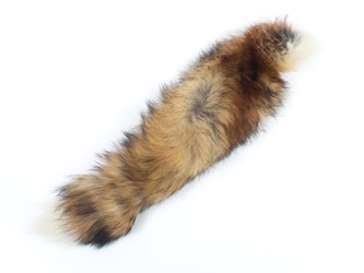 North American Red Fox Tail: #2/3 