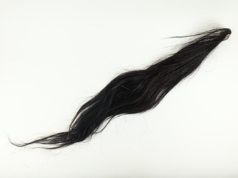 Dried Horse Tail: Black with Red 
