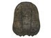 Snapping Turtle Shell with Plastron: 12"+ - 229-WP-12+