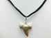 Otodus Fossil Shark Tooth Necklace: Black Suede Cord - 282-8