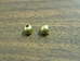 8mm Solid Brass Beads (kg) - 326-01 (Y2H)