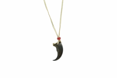 Realistic Bear Claw Necklace: 1-Claw 