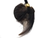 Real Hair-On Black Bear 1-Claw Necklace - 560-HBC01-AS (Y2J)
