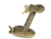 Mounted Real Rattlesnake Striker: 34-38" - 598-M22