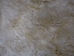 Angora Goatskin: #2: Small: White: Assorted - 66-A2S-WH-AS