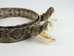 1" Real Rattlesnake Hat Band with Rattle and 2 Heads (Open Mouths) - 598-HB214