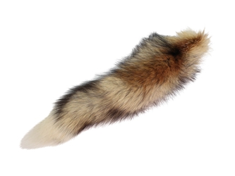 North American Red Fox Tail: Silver Red 