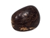 Tagua Nut: Polished - 1153-P (Y1G)
