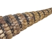 Armadillo Tail: Large: 14"+ - 1310-TL-AS (Y3D)
