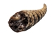 Armadillo Tail: Small: <10" - 1310-TS-AS (Y3D)