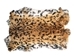 Printed Rabbit Skin: Sunda Leopard Cat Pattern - 188-P17C (Y1I)