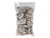 Lightly Cleaned African Abalone Shell (50-Pack) - 220-00L-12 (Y3L)