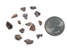 African Abalone Pieces: 4 to 6 mm: Copper (kg) - 220-TP-0406-CP (Y3E)