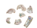 African Abalone Pieces: 12 to 19 mm: Bleached White (kg) - 220-TP-1219-BW (Y3E)