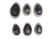 Purple Ringtop Cowrie Shell (100-Pack) - 269-275-C (Y1J)
