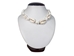 18" Cowrie Shell and Puka Chips Necklace - 269-NP03-AS (Y1X)