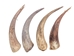 Goat Horn Core: 10" to 12" - 318C-XL-AS (Y2P)
