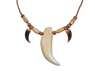 Real Bear Tooth & Coyote Claw Necklace 