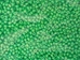 10/0 Seedbead Shiny Green (500 g bag) - 65002333 (Y3M)