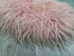 Dyed Icelandic Sheepskin: Pale Pink: 100-110cm or 40" to 44" - 7-10PA-AS (Y1E)