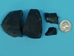 Fossil Whale Ear Bone: Gallery Item - 1231-10-G13268 (Y2I)