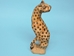 African Hyena Wood Carving: Gallery Item - 862-60-G3 (Y3D)
