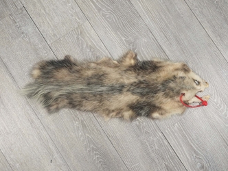 Longer North American Opossum Skin: Gallery Item 