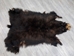 Black Bear Skin without Claws: Gallery Item - 175-20-G6279 (Y2O)