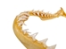 Mako Shark Jaw 15.5&quot;: Gallery Item - 561-J17-G4986 (Y1K)
