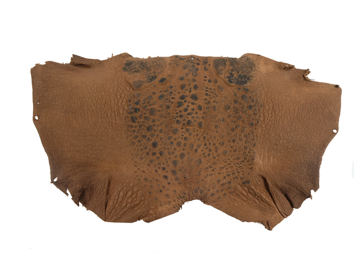 Cane Toad Skin: Brown 