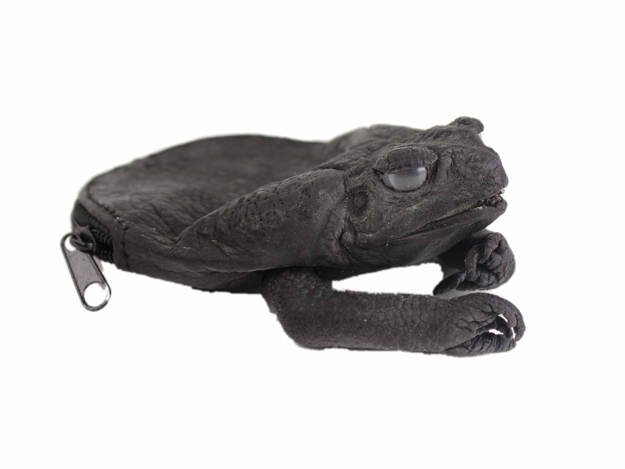 Dyed Cane Toad Coin Pouch: Medium/Large: Black 