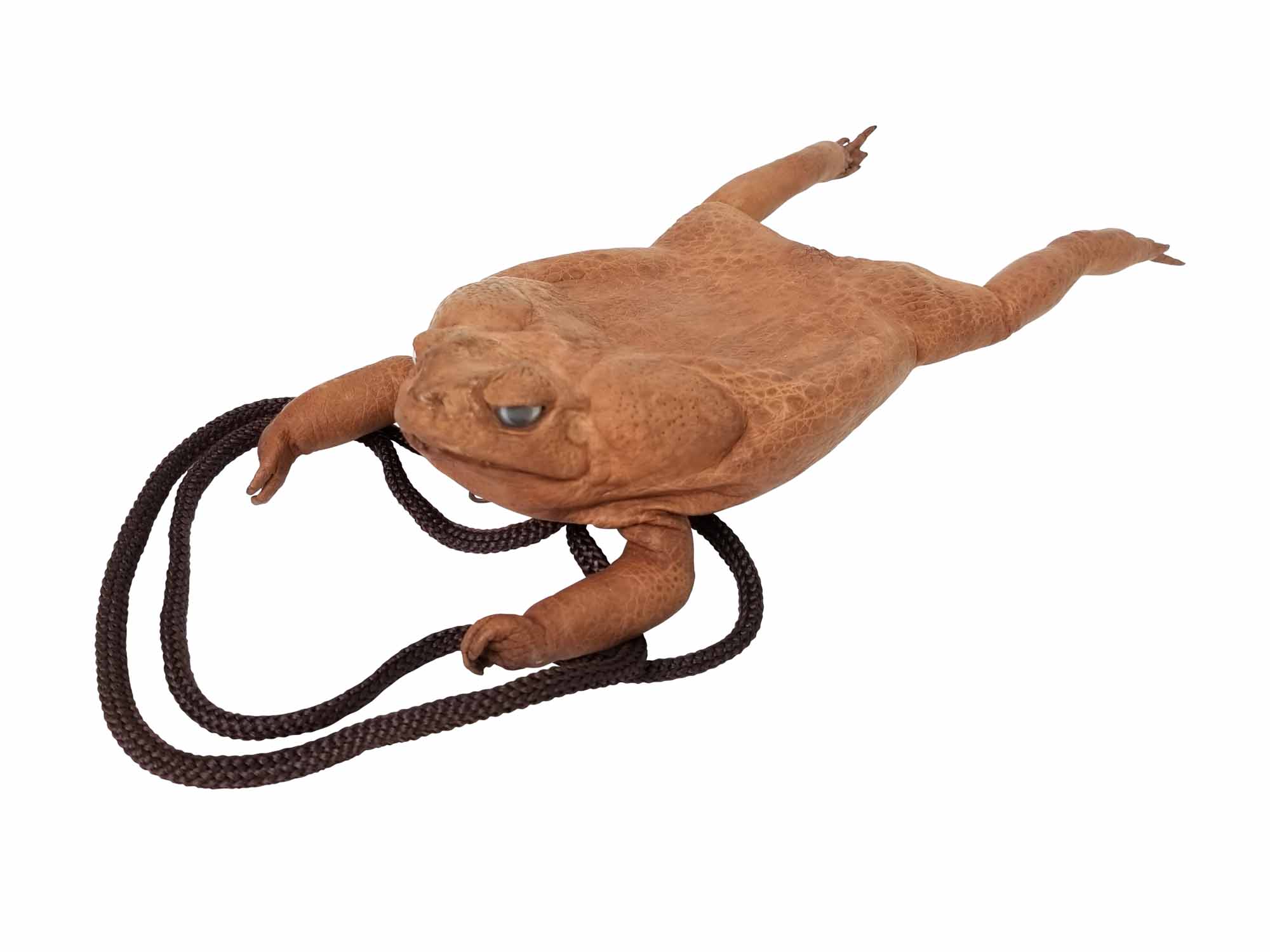 Cane Toad Necklace Pouch 