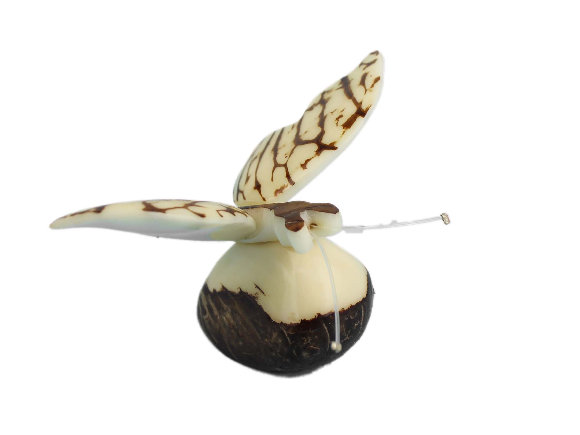 Tagua Nut Carving: Butterfly 