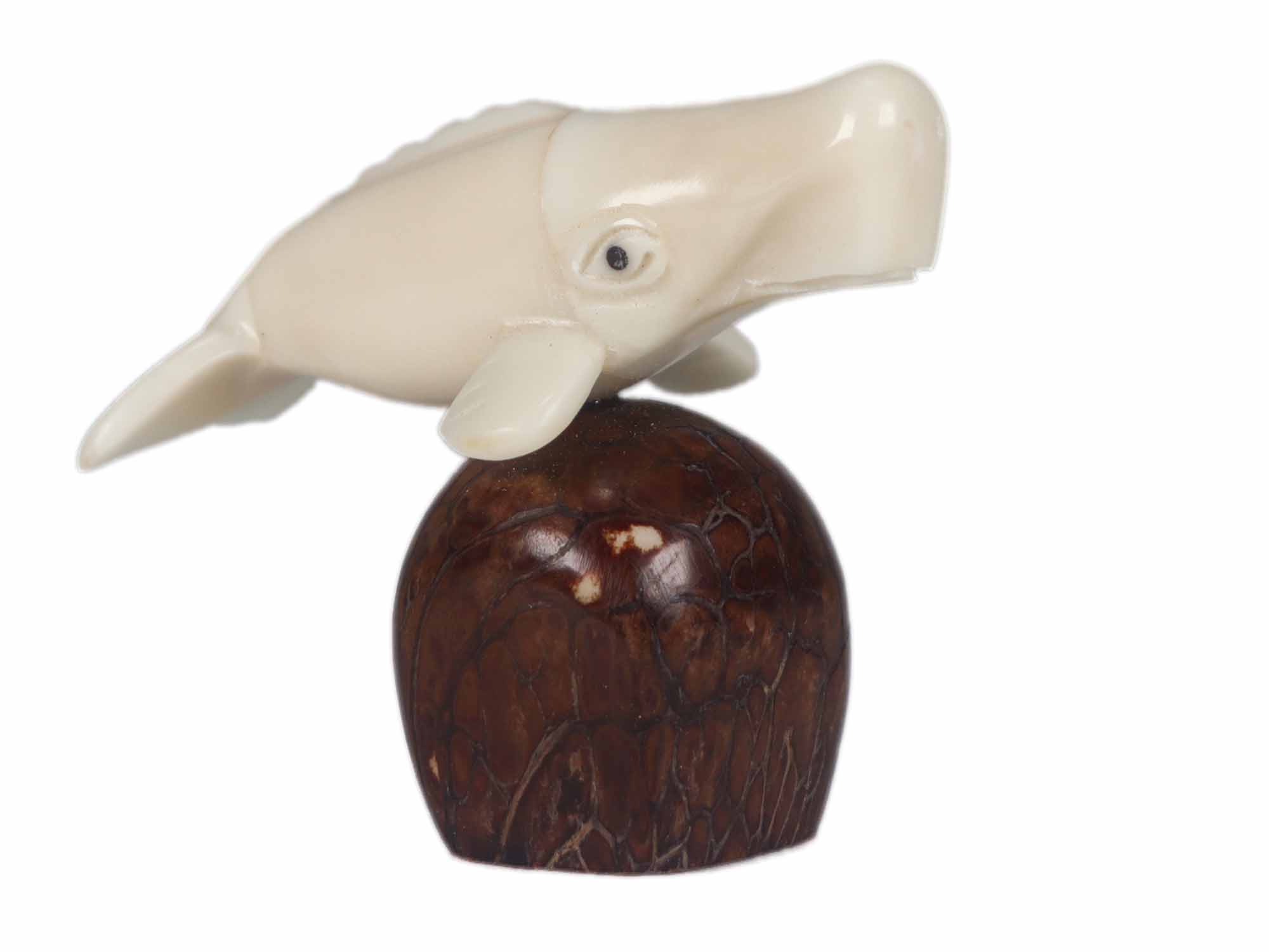 Tagua Nut Carving: Sperm Whale 