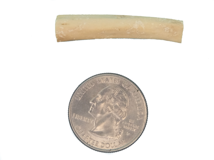 1.5&quot; Coyote Bone Hairpipe - 125-CB-15 (P14)