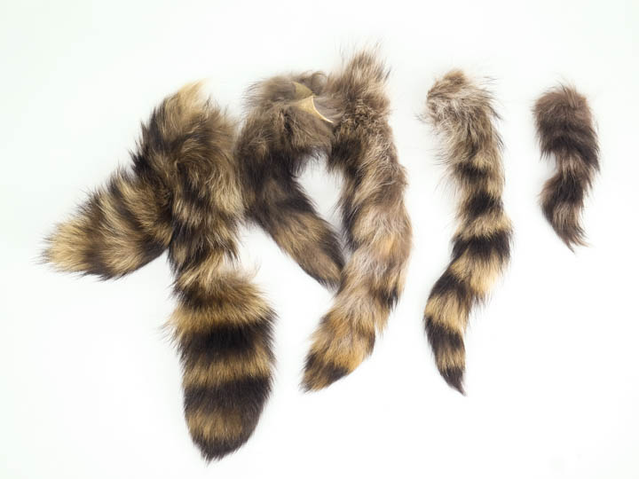 Raccoon Tail Fur Scrap (lb) 
