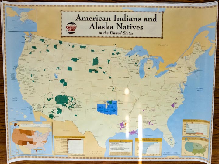American Indian & Alaskan Natives Map 