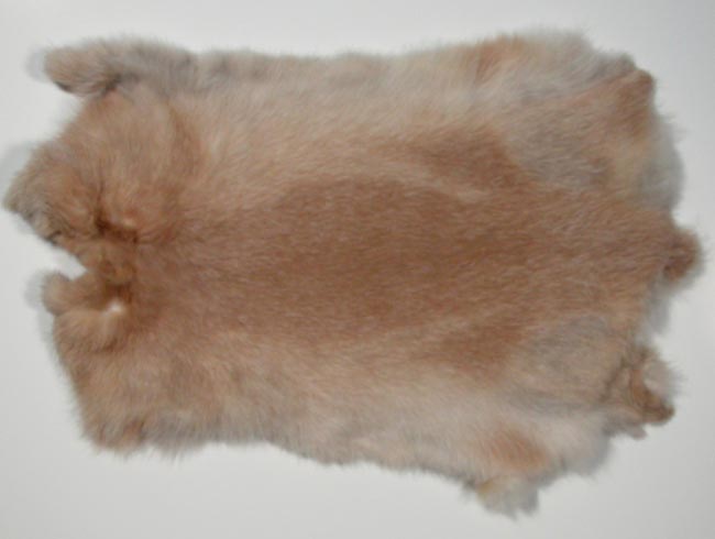 Home raised,pelt tanned by me. Rabbit skin M6 Pastel brown bunny fur