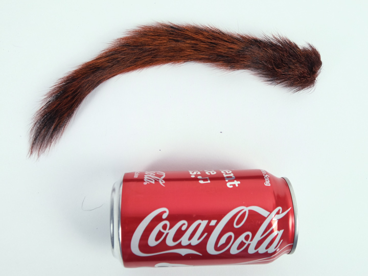 Dyed Squirrel Tail: Rusty Brown - 162-051 (P3)