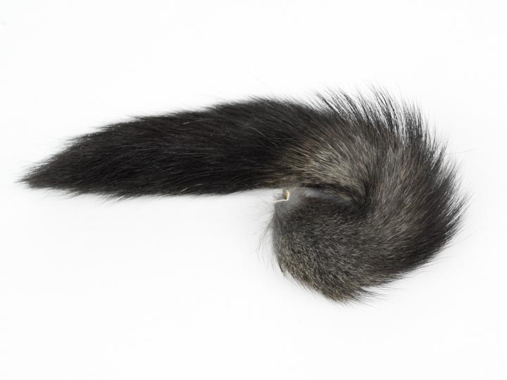Natural Russian Gray Squirrel Tail 