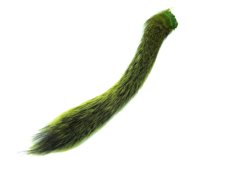 Dyed Squirrel Tail: Fluorescent Chartreuse 