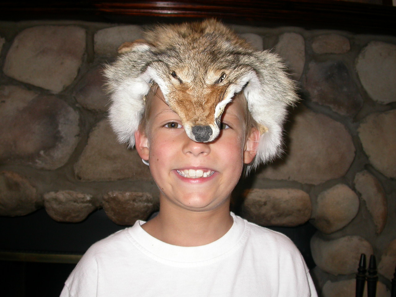 Coyote Face Mask coyote face masks, coyote halloween masks, coyote face halloween masks