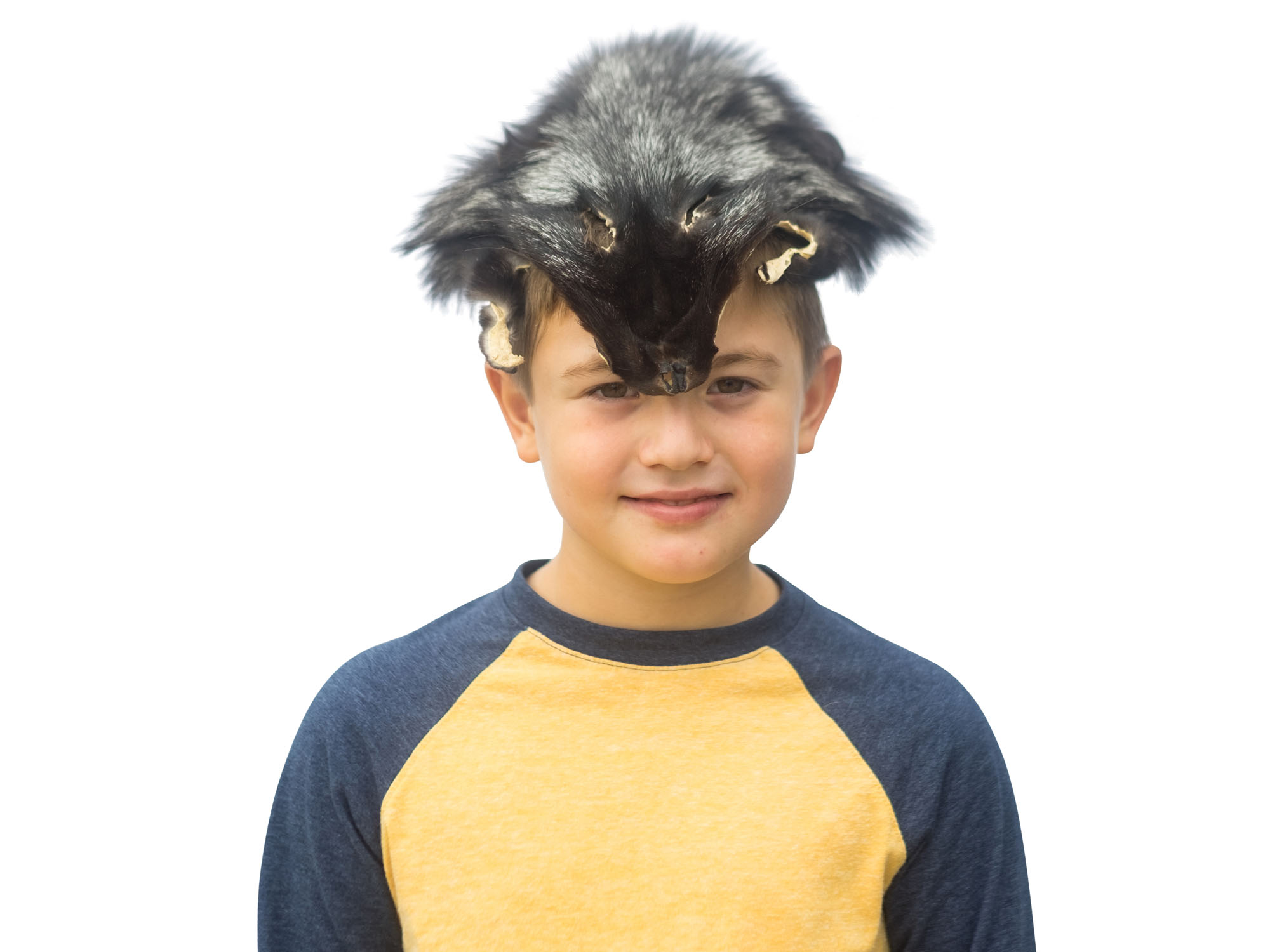 Indigo Fox Face Mask indigo fox face masks, fox halloween masks, fox face halloween masks
